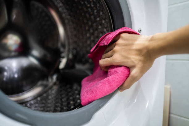 Mold Odor Removal Services in Pine Knot, KY