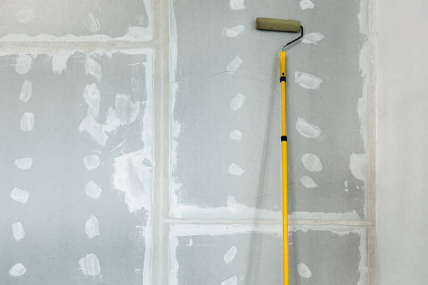 Reliable Pine Knot, KY Mold Removal Solutions