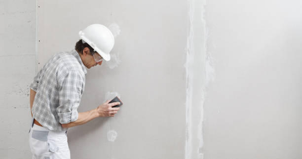Best Biohazard Mold Removal  in Pine Knot, KY